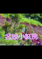 西厢记惊艳完整版