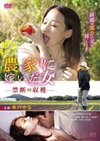 韩剧《人间尤物》电视剧在线观看