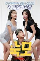 疯狂公交2免费全集在线看电视