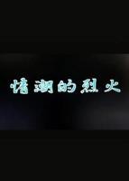 韩剧《干柴与烈火》在线观